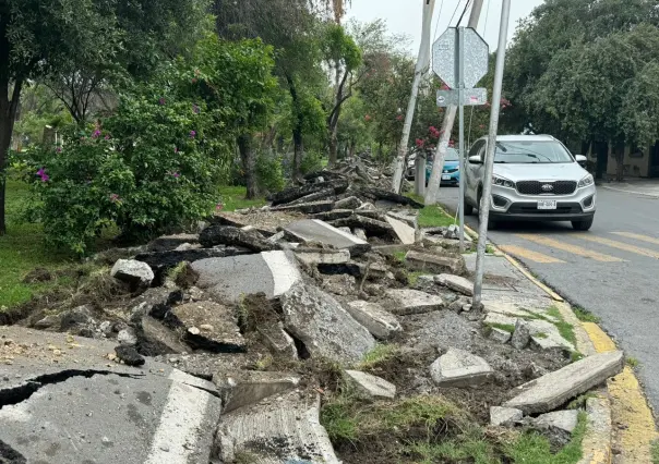 Banquetas en remodelación en parque Roma: vecinos de Monterrey afectados