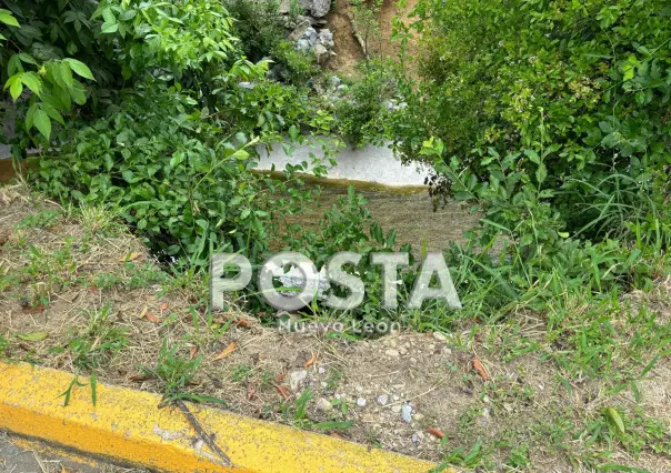 Se viene abajo muro de arroyo en colonia Del Paseo Residencial en Monterrey