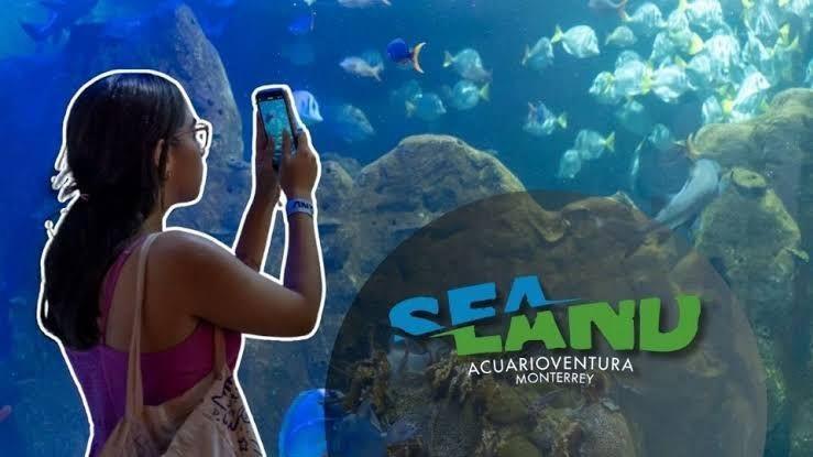 Acuario Sealand llega a Monterrey: conoce los costos de entrada