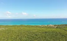Semarnat inicia consulta para Área Natural Protegida en la Península de Yucatán