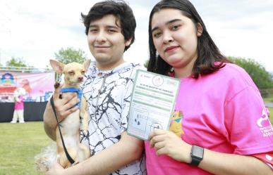 Feria de adopciones y registro de mascotas en Escobedo