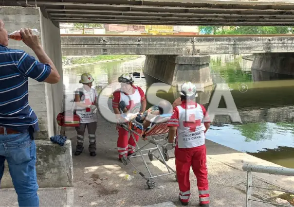 Ataque de cocodrilo deja a indigente hospitalizado en Tampico