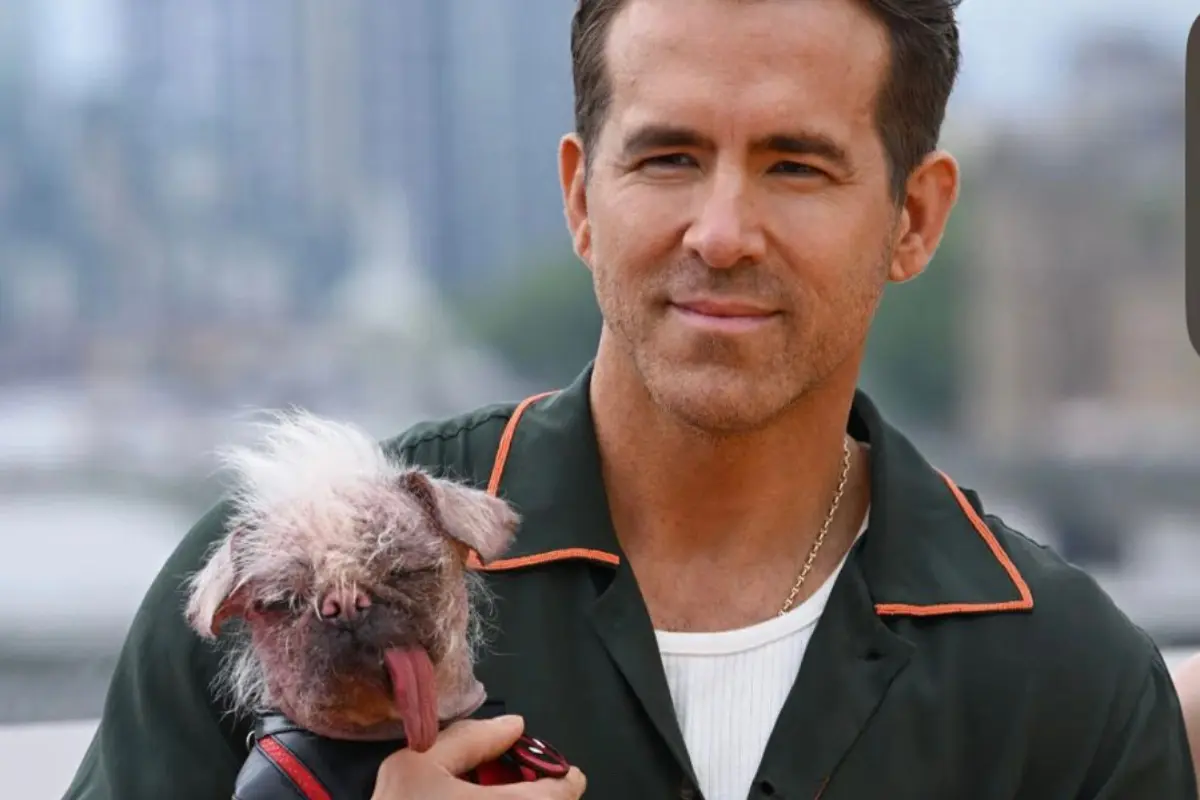 Ryan Reynolds, Foto: X (Twitter) @VancityReynolds