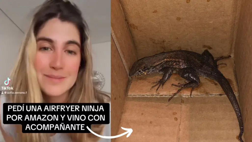 Mujer encuentra lagartija en Air Fryer al desempacar su pedido de Amazon (VIDEO)