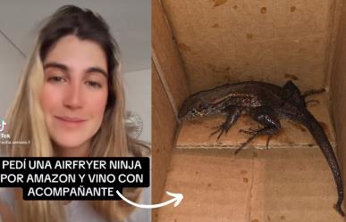 Mujer encuentra lagartija en Air Fryer al desempacar su pedido de Amazon (VIDEO)