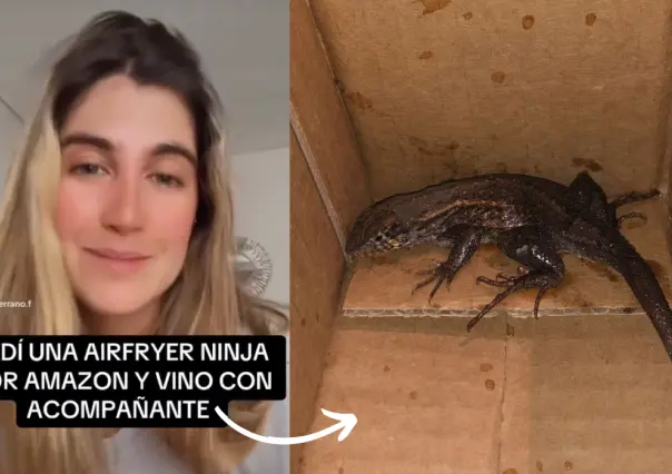 Mujer encuentra lagartija en Air Fryer al desempacar su pedido de Amazon (VIDEO)