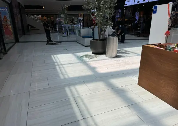 Cae vidrio del techo de Galerías Valle Oriente y lesiona a trabajador