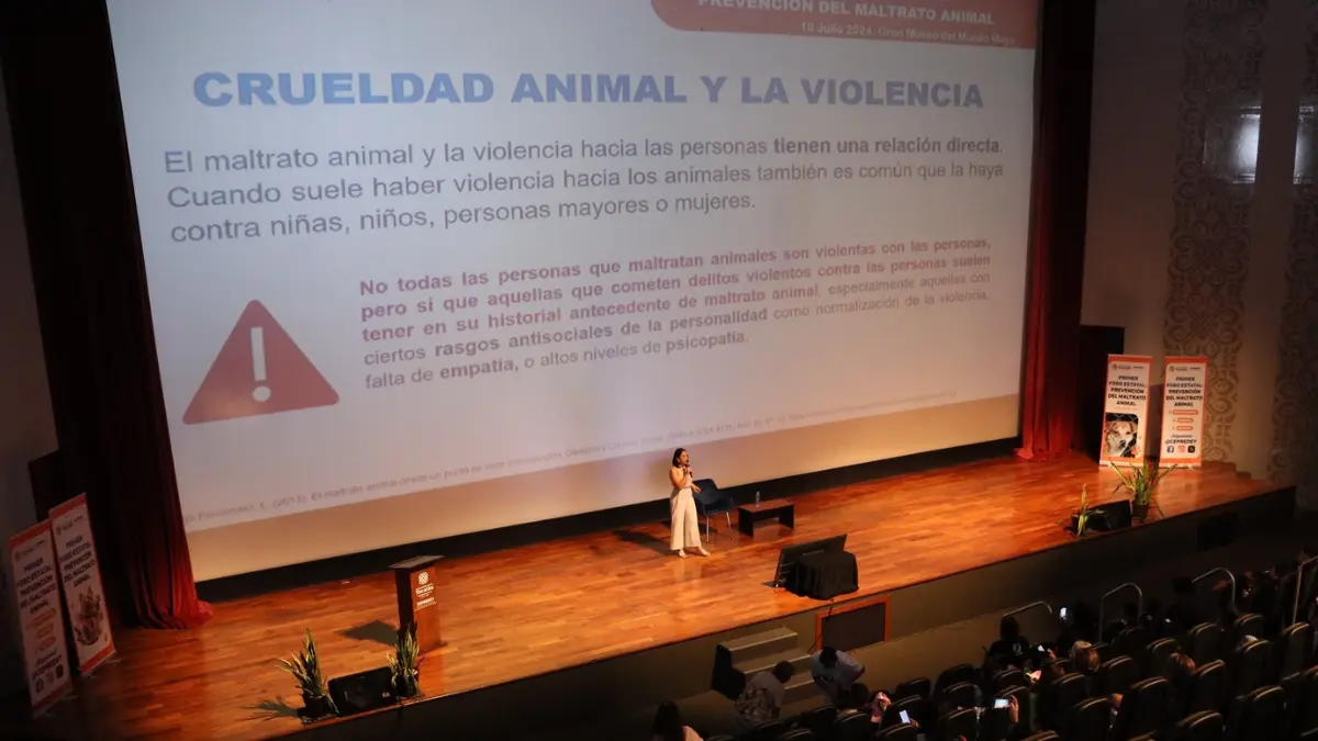 En el foro participaron albergues, autoridades municipales y la unidad especializada en maltrato animal de la FGE Yucatán Foto: Cortesía