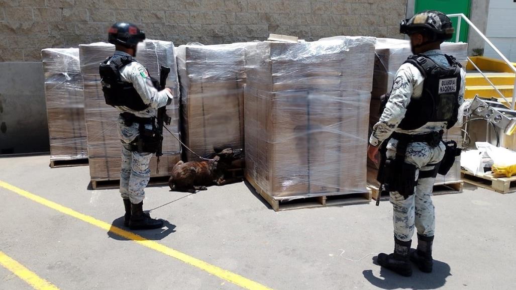 Asegura Guardia Nacional marihuana y metanfetamina en Jalisco