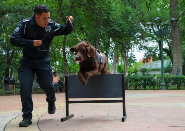 ¡Conoce a los lomitos policías encargados de la seguridad de Saltillo!