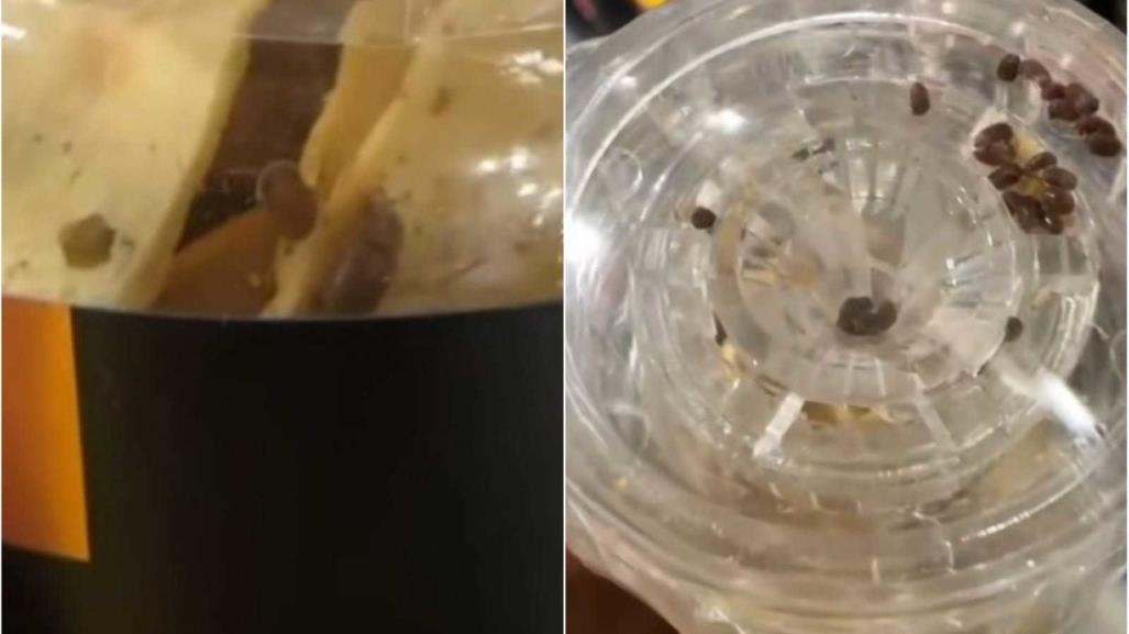 Joven encuentra insectos vivos en bote sellado de reconocida tienda (VIDEO)