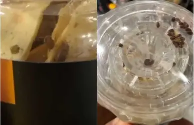 Joven encuentra insectos vivos en bote sellado de reconocida tienda (VIDEO)