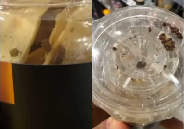 Joven encuentra insectos vivos en bote sellado de reconocida tienda (VIDEO)