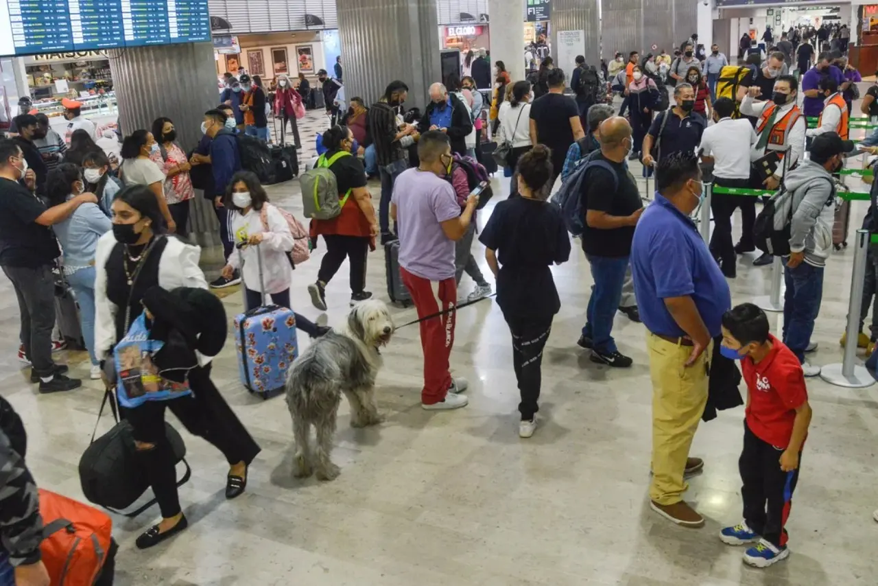 Gente saturando el aeropuerto internacional de la CDMX por la falla en sistemas. Foto: Expansión Política.