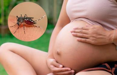 Advierte Salud sobre los riesgos del dengue durante el embarazo