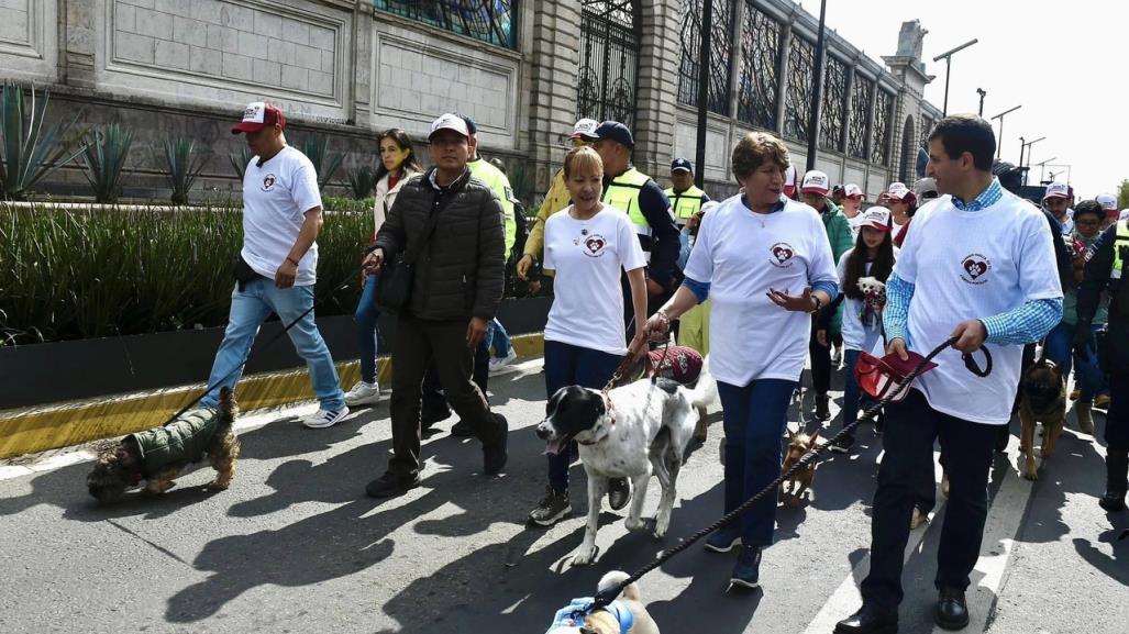 Encabeza Delfina Gómez caravana por bienestar animal; anuncia reformas