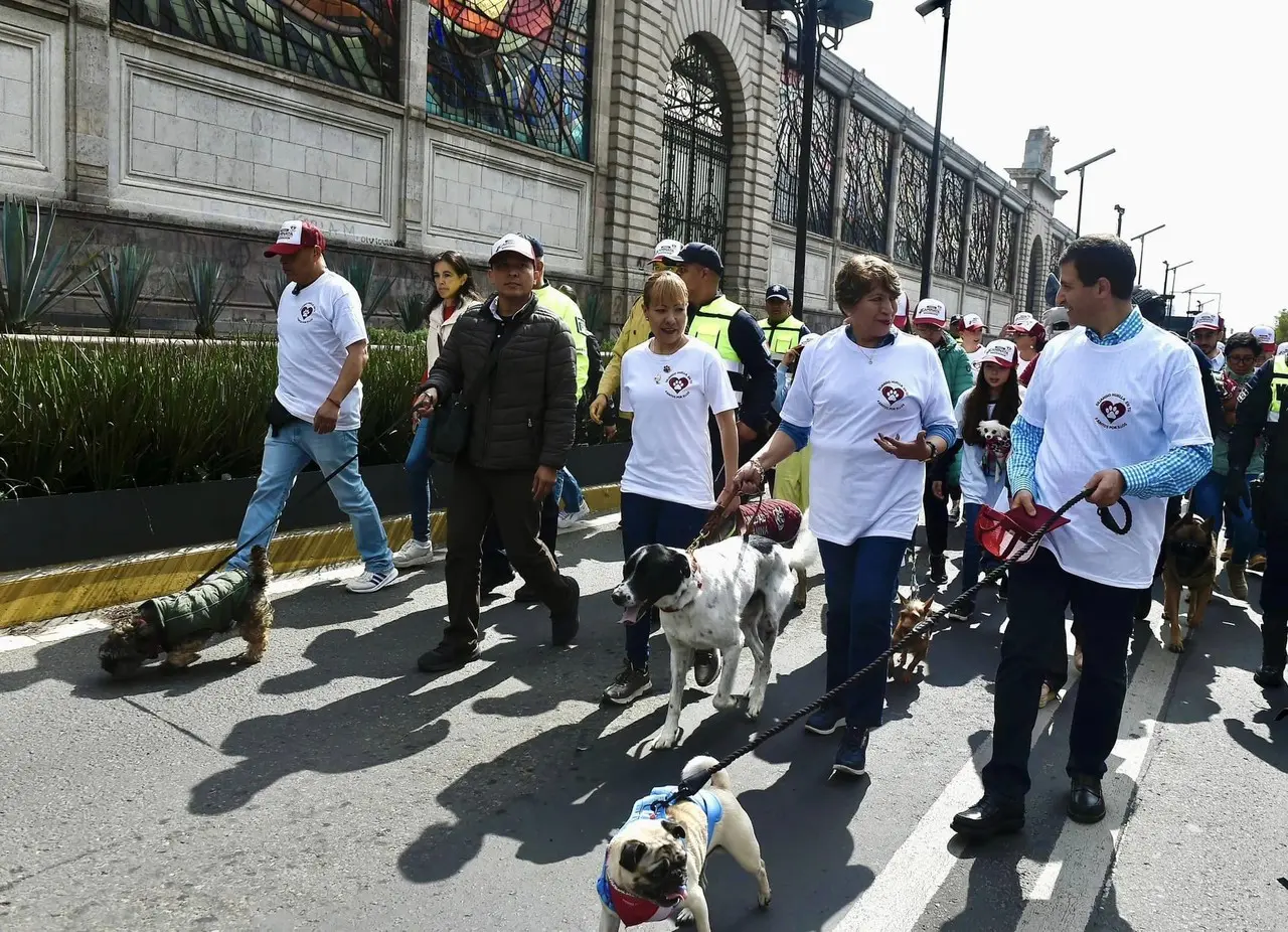 La gobernadora Delfina Gómez anunció que se reunirá con asociaciones u organizaciones de protección a los animales para analizar si se puede hacer una mejorar a las normas en la materia. Foto: Gob. de Edomex