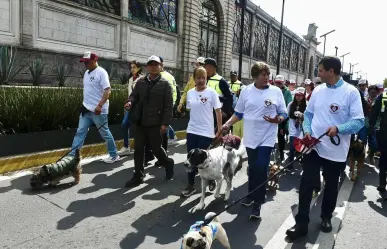 Encabeza Delfina Gómez caravana por bienestar animal; anuncia reformas