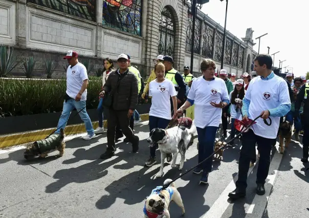 Encabeza Delfina Gómez caravana por bienestar animal; anuncia reformas