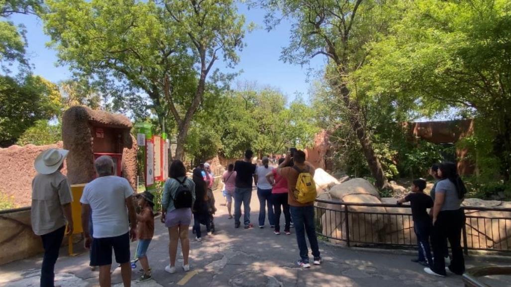 Conoce los parques que puedes visitar durante el periodo vacacional