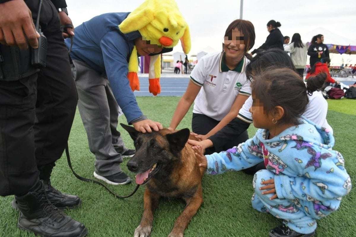 Binomios caninos que forman parte de la Guardia Estatal. Foto: SSPT