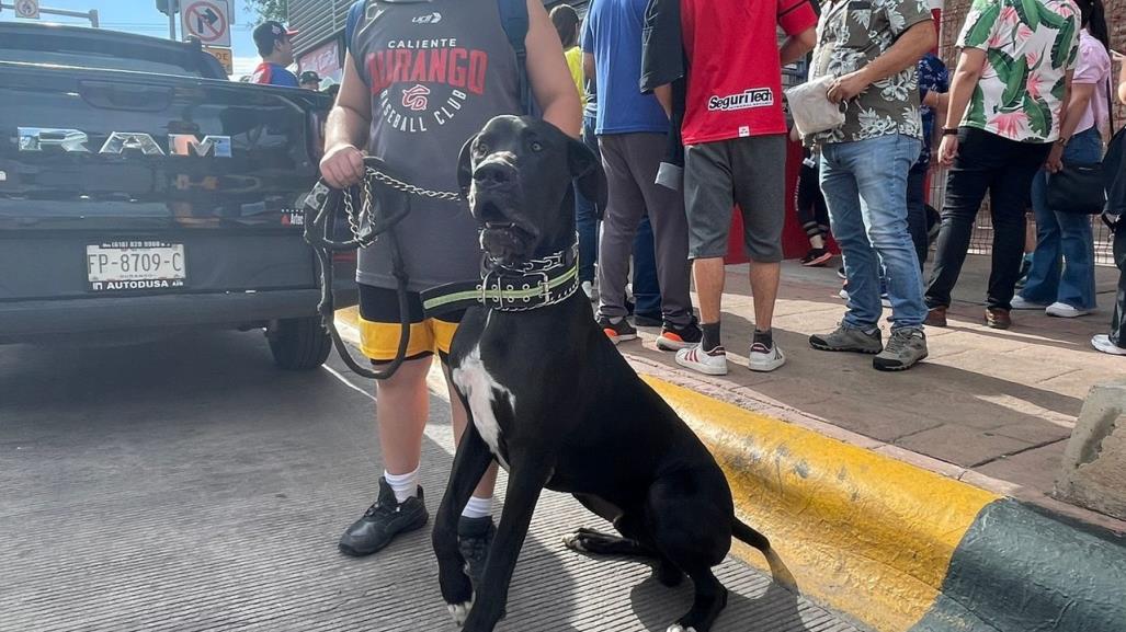 Lomitos presentes en el encuentro de Caliente de Durango en el Día del Perro