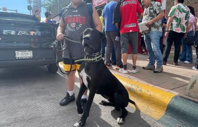 Lomitos presentes en el encuentro de Caliente de Durango en el Día del Perro