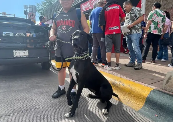 Lomitos presentes en el encuentro de Caliente de Durango en el Día del Perro