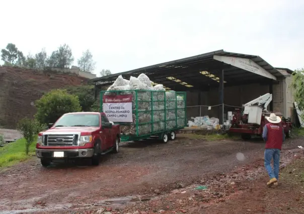 ¡Qué chochinos! Retiran 25 mil envases de plástico de zonas de cultivo en Edomex