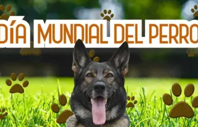 Celebrando el Día del Perro: El valor de los perritos policía