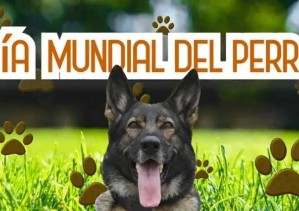 Celebrando el Día del Perro: El valor de los perritos policía