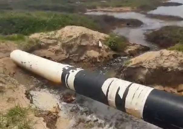 Atienden SEDUMA y Procuraduría Ambiental contaminación de empresa en Altamira