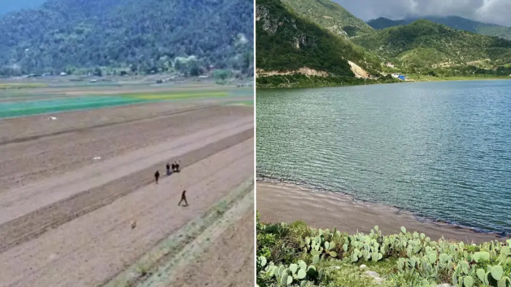 Laguna de Sánchez, llena de vida tras el paso de Alberto