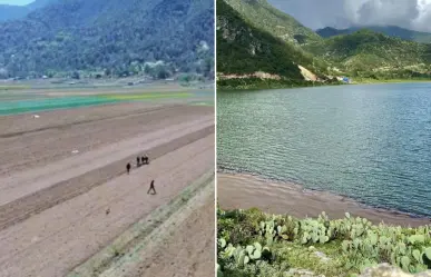 Laguna de Sánchez, llena de vida tras el paso de Alberto