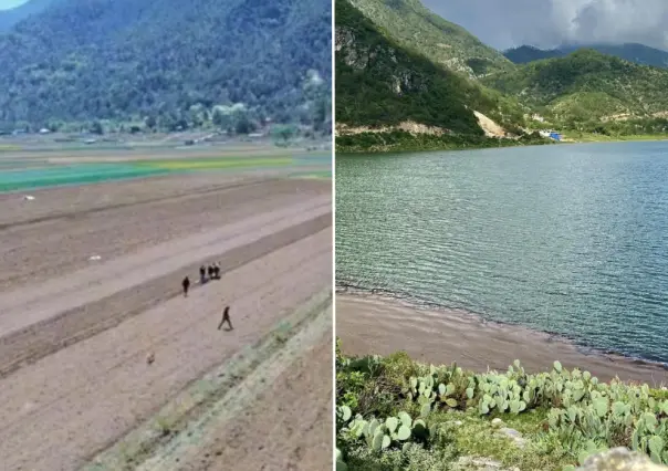 Laguna de Sánchez, llena de vida tras el paso de Alberto