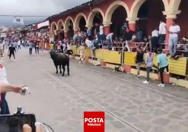 Cuatro heridos en capea de toros durante festejos en Xico