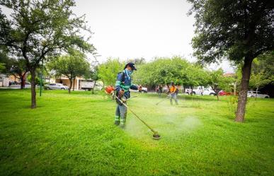 Intensifica Monterrey trabajos de deshierbe y fumigación
