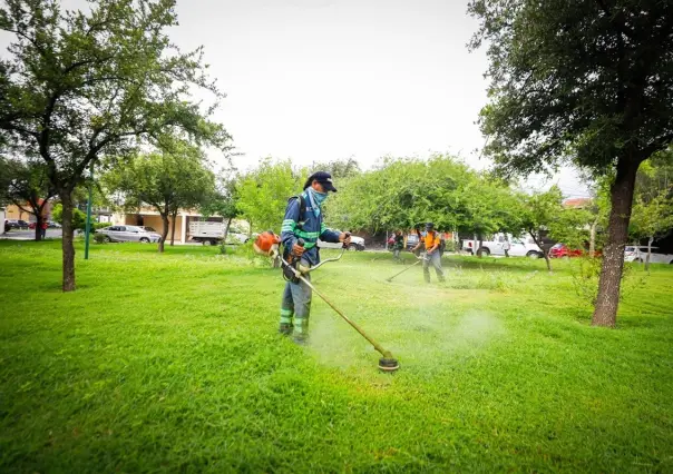 Intensifica Monterrey trabajos de deshierbe y fumigación