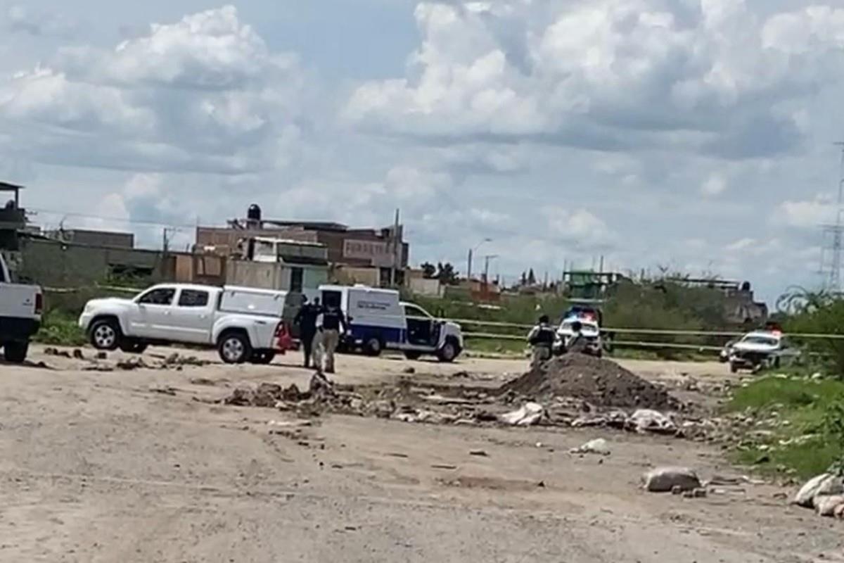 Los restos fueron localizados en bolsas negras Foto: Cortesía