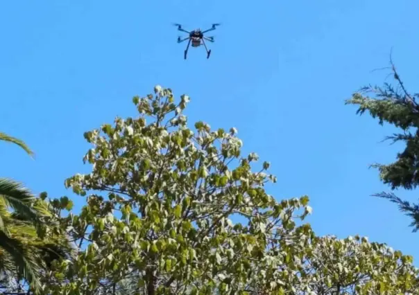 ¿Sabes qué tienen que ver los drones con los mangos?
