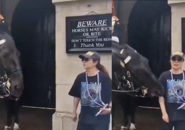 Turista es mordida por caballo de la Guardia Montada Real en Londres - VIDEO