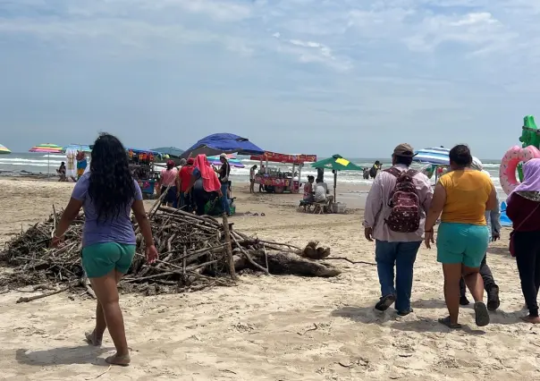 Troncos, palizada y lirio continúan afectando a Playa Miramar