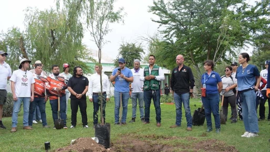 Con 80 árboles, reforestan Bosque Urbano en Torreón