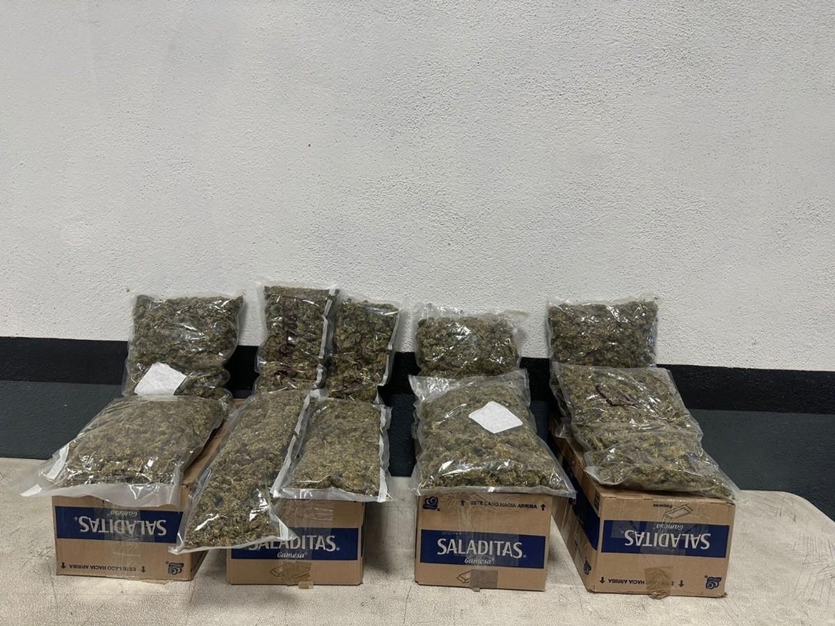 ¡Ni tan saladas! Aseguran droga en cajas de galletas en paquetería de Monterrey