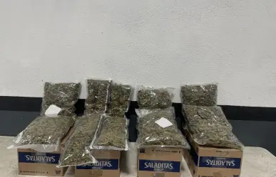 ¡Ni tan saladas! Aseguran droga en cajas de galletas en paquetería de Monterrey