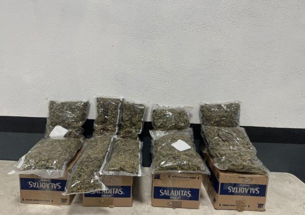 ¡Ni tan saladas! Aseguran droga en cajas de galletas en paquetería de Monterrey