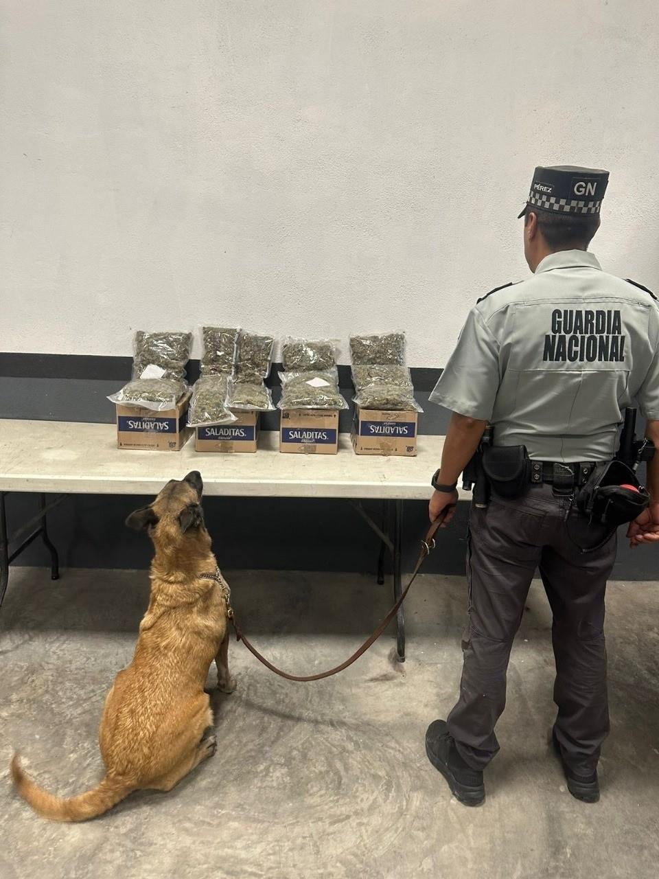 ¡Ni tan saladas! Aseguran droga en cajas de galletas en paquetería de Monterrey