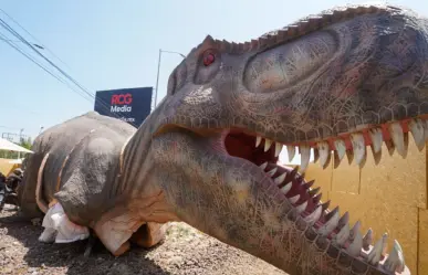 Avanza la instalación del T-Rex Gigante que dará la bienvenida a Ramos Arizpe 