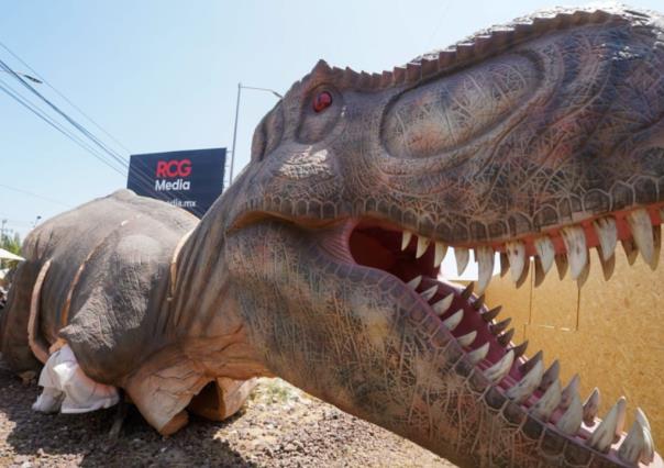 Avanza la instalación del T-Rex Gigante que dará la bienvenida a Ramos Arizpe 