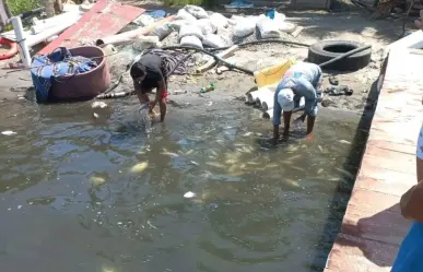 Aparecen peces muertos en Paraíso Tabasco; culpan a Refinería Olmeca